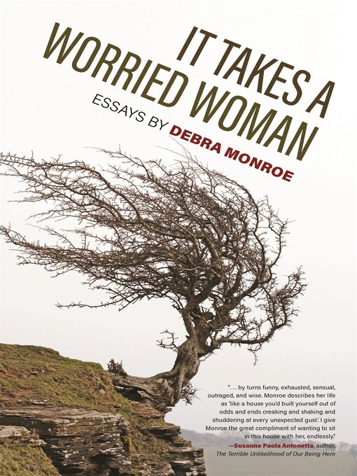 Title details for It Takes a Worried Woman by Debra Monroe - Available
